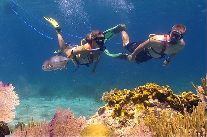 Snuba Adventure at Coral World Ocean Park - Key Points Before You Book