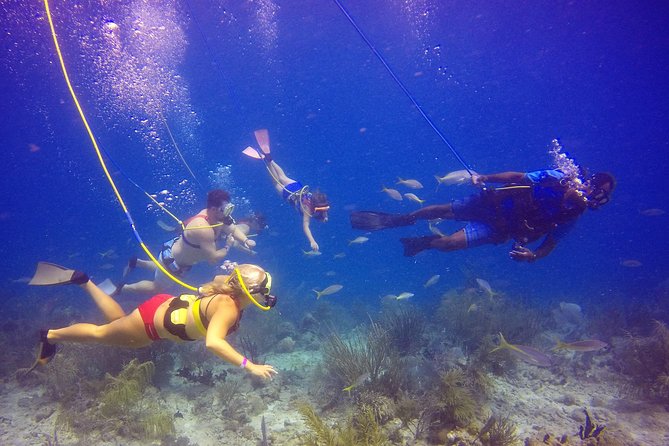 Snuba Adventure at Coral World Ocean Park - Exploring the Reef Near Coki Point