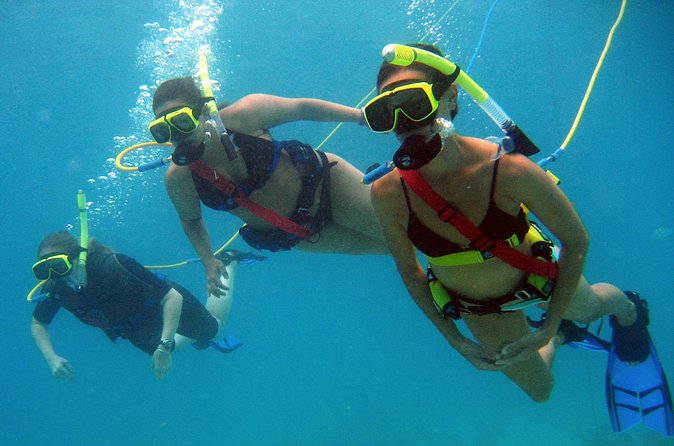 Snuba Adventure at Coral World Ocean Park - The Guide Makes or Breaks the Experience