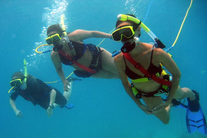 Snuba Adventure at Coral World Ocean Park - What Happens After the Underwater Session