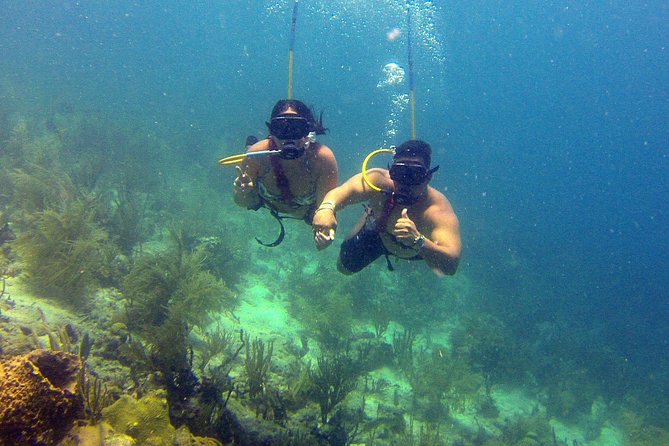 Snuba Adventure at Coral World Ocean Park - Is the $102 Price Good Value?
