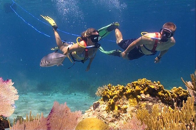 Snuba Adventure at Coral World Ocean Park - Who Should Book This St. Thomas Activity?