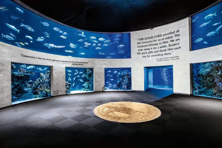 Springfield: Wonders of Wildlife National Museum & Aquarium - Key points to know before you go