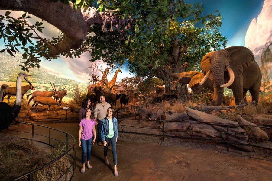 Springfield: Wonders of Wildlife National Museum & Aquarium - Start with the Wildlife Galleries