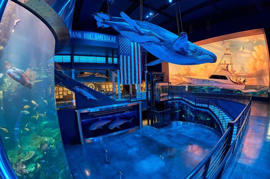 Springfield: Wonders of Wildlife National Museum & Aquarium - Aquarium Adventure fills the second half of the day