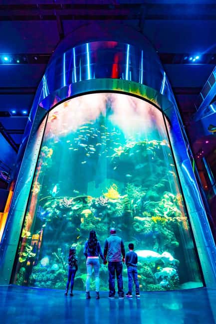 Springfield: Wonders of Wildlife National Museum & Aquarium - Nature’s Best Photography gives you a quieter pause