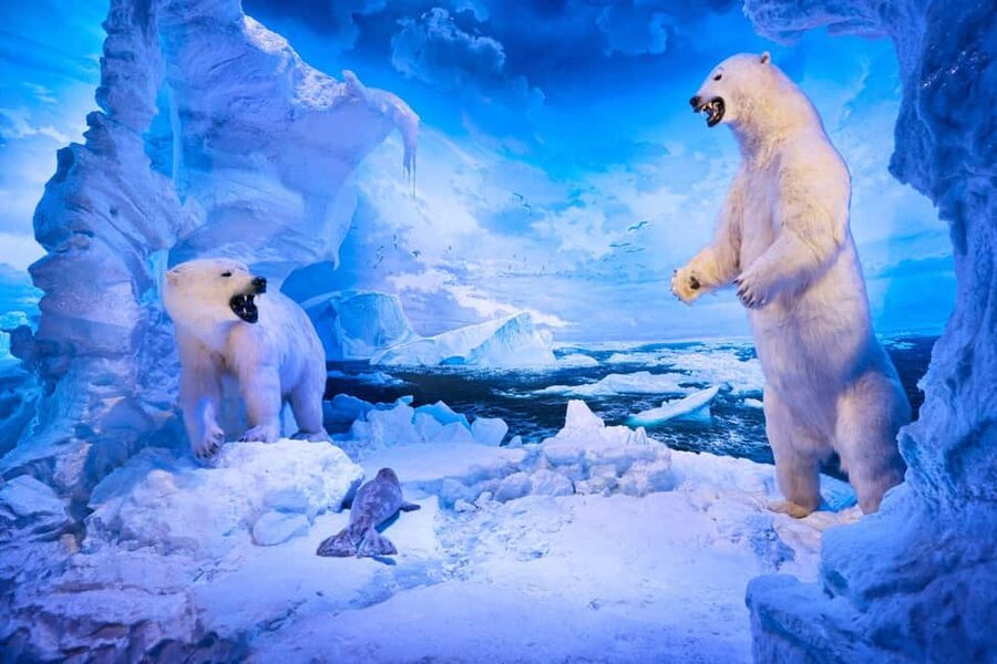 Springfield: Wonders of Wildlife National Museum & Aquarium - Finding the entrance requires a little patience