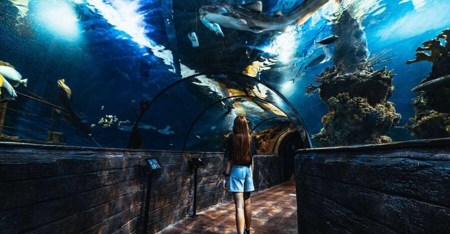 St Paul's Bay: Malta National Aquarium Entry Ticket - Entering the Starfish-Shaped Building