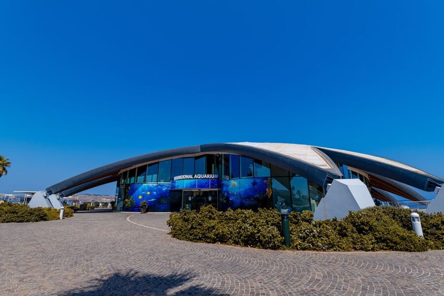 St Paul's Bay: Malta National Aquarium Entry Ticket - Malta’s Marine Life in 51 Display Tanks