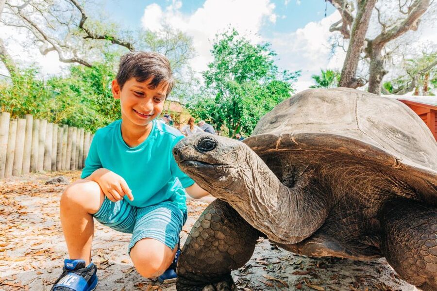 Tampa: ZooQuarium- ZooTampa & Florida Aquarium Combo Ticket - One ticket, two very different Tampa days