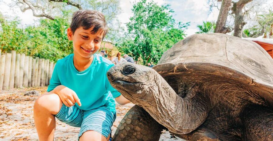 Tampa: ZooQuarium- ZooTampa & Florida Aquarium Combo Ticket - What the $90 price really buys you