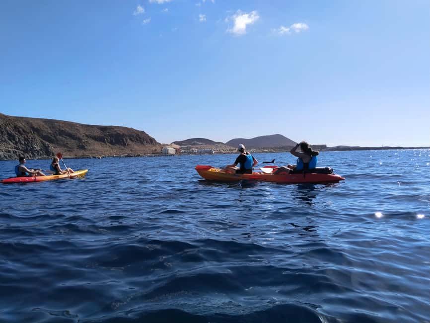 Tenerife: Kayak & Snorkel Tour with Snacks & Sea Life Safari - Should you book MANA KAYAK?