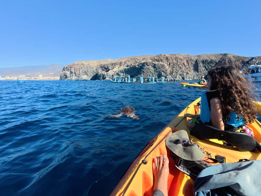 Tenerife: Kayak & Snorkel Tour with Snacks & Sea Life Safari - Snacks, water, and the return paddle