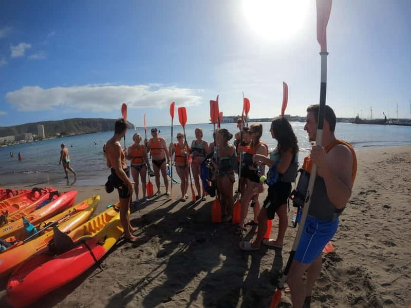 Tenerife: Kayak & Snorkel Tour with Snacks & Sea Life Safari - How much value do you get for $30?