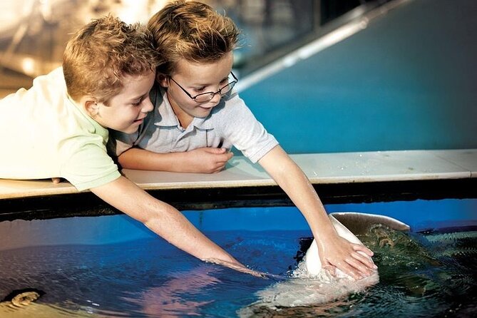 The Florida Aquarium in Tampa General Admission - Entering a downtown Tampa aquarium