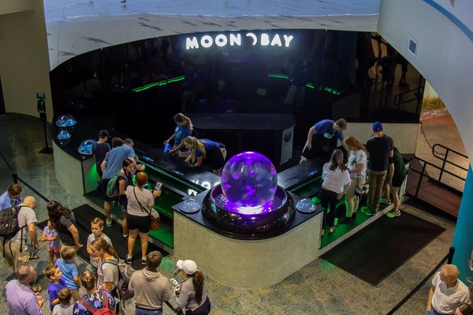 The Florida Aquarium in Tampa General Admission - The Coral Reef Gallery is the big finish
