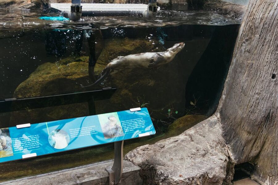 The Florida Aquarium Ticket - Make the touch pools the heart of your visit