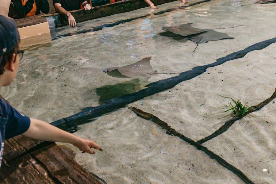 The Florida Aquarium Ticket - Plan extra time for shows and presentations