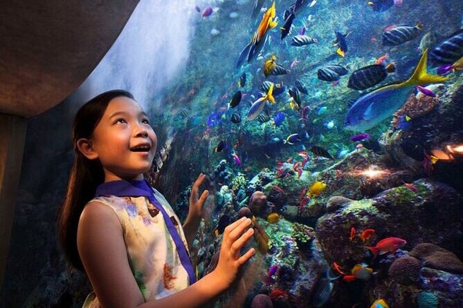 The Lost Chambers Aquarium - What your standard admission includes