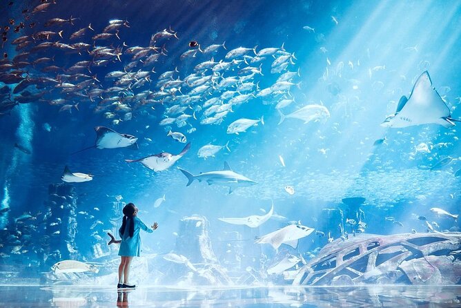 The Lost Chambers Aquarium - The value of the Atlantis theme