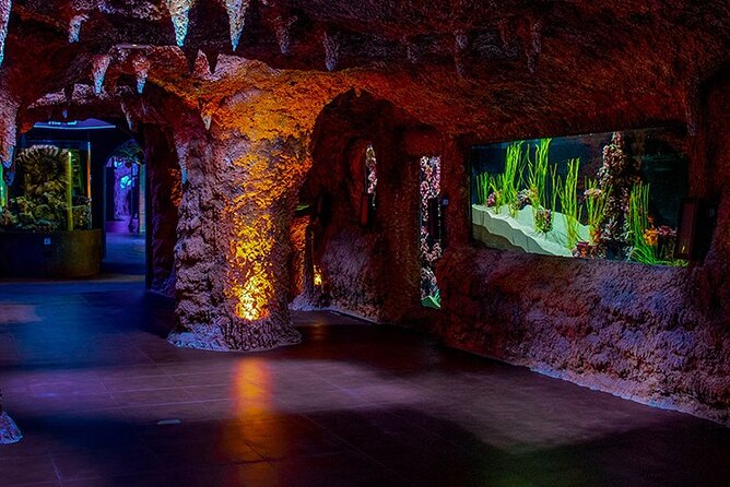 The National Aquarium Abu Dhabi Admission Tickets - Entering Abu Dhabi’s 10-zone aquarium