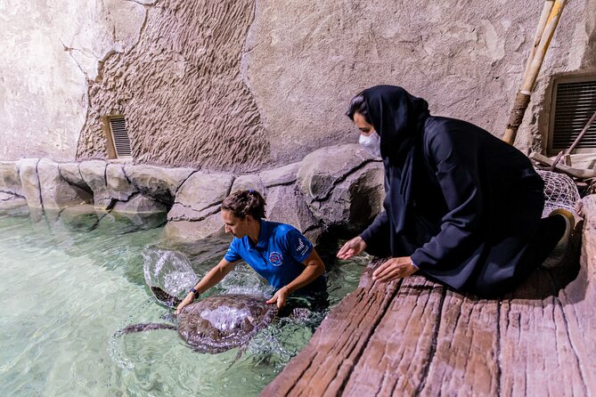 The National Aquarium Abu Dhabi Admission Tickets - What the positive feedback gets right