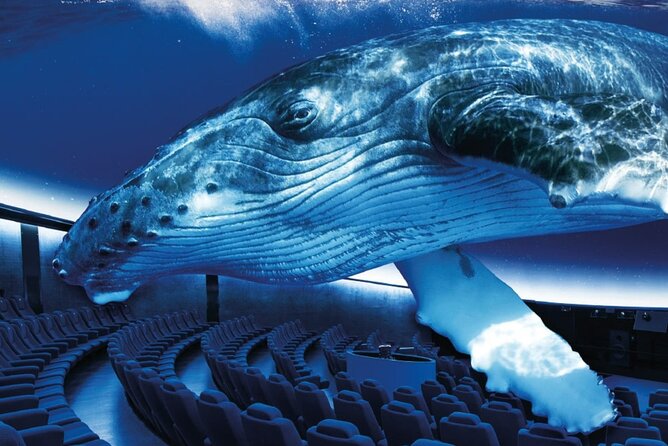 Ticket Palma Aquarium - Key points to know before you go