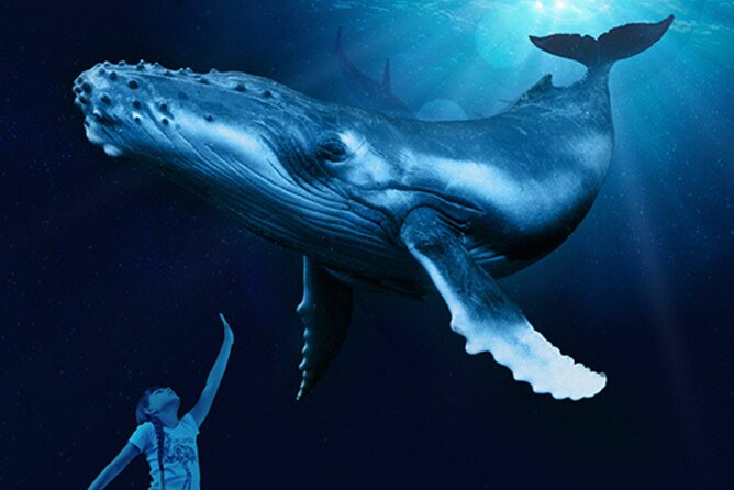 Ticket Palma Aquarium - Who will enjoy Palma Aquarium most