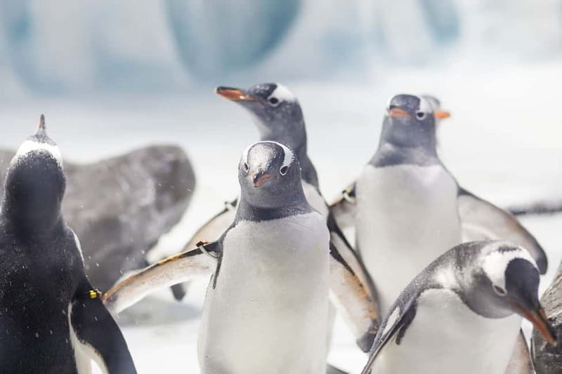 Ticket to SEA LIFE Konstanz - Key points to know before you go