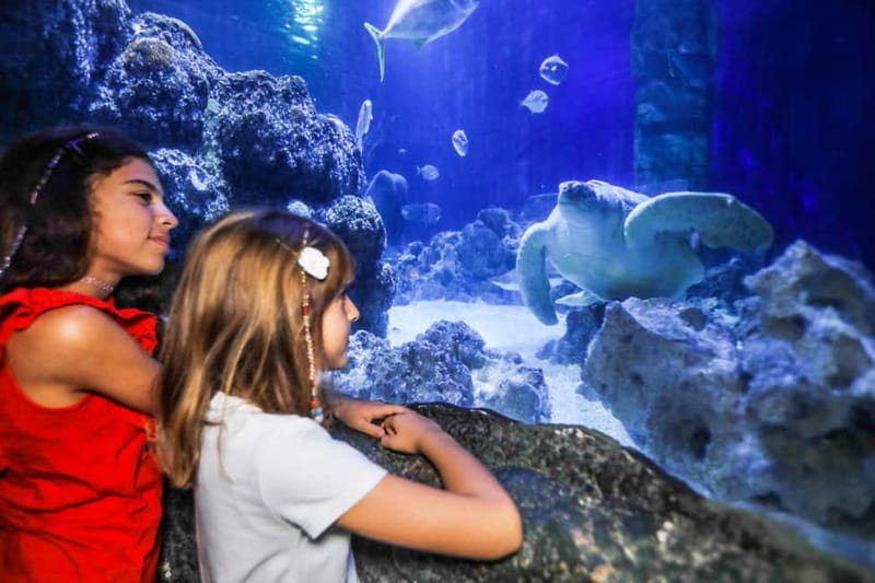 Ticket to SEA LIFE Konstanz - The Sea at Night and the 8-metre tunnel