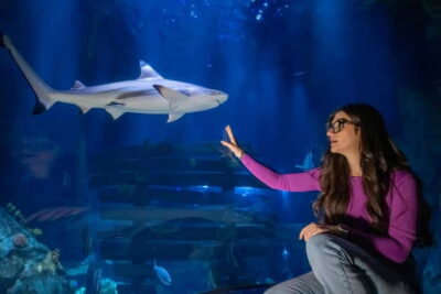 Ticket to SEA LIFE Konstanz