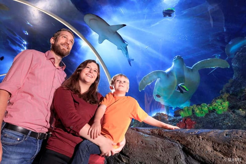 Ticket to SEA LIFE Konstanz - Interactive areas for younger children