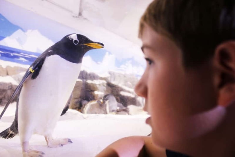 Ticket to SEA LIFE Konstanz - Getting there and planning your time