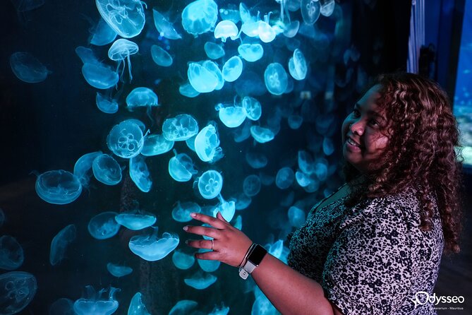 Ticket to the largest Oceanarium of the Mascarene Islands - What the Odysseo Oceanarium offers in Port Louis