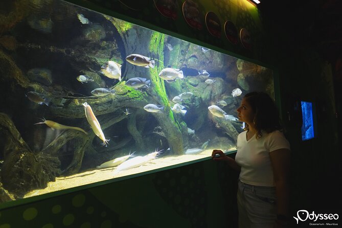 Ticket to the largest Oceanarium of the Mascarene Islands - How long should you allow?