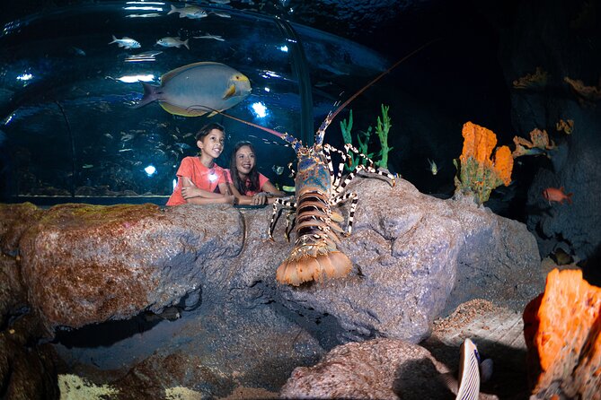 Ticket to the largest Oceanarium of the Mascarene Islands - Getting there and planning your visit