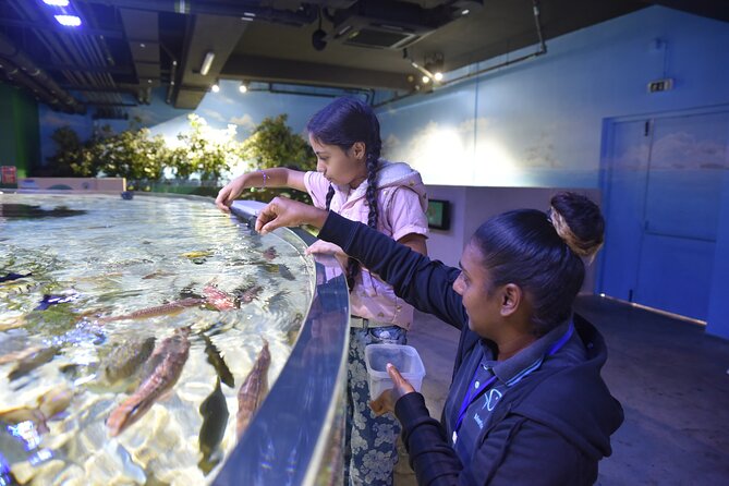 Ticket to the largest Oceanarium of the Mascarene Islands - Who will enjoy Odysseo most?