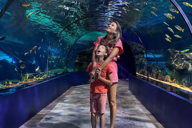 Ticket to the largest Oceanarium of the Mascarene Islands - A sensible way to plan the visit