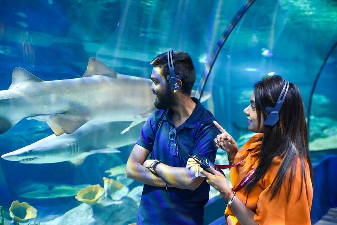 Ticket to the largest Oceanarium of the Mascarene Islands - The main aquarium and 45 marine habitats