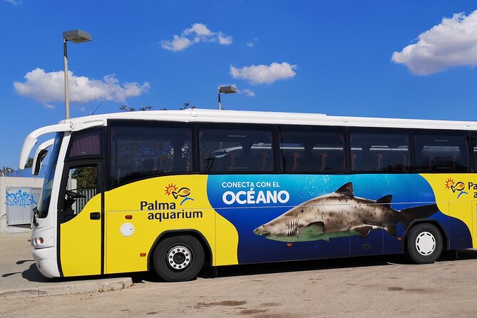 Ticket + Transfer to Palma Aquarium - Key points before you book