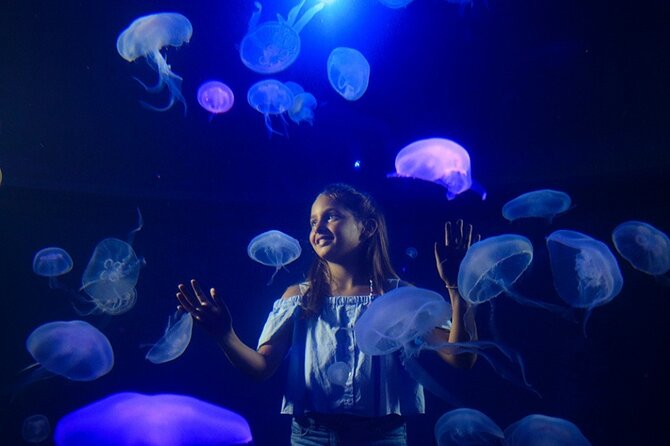 Ticket + Transfer to Palma Aquarium - Why the shark tank earns extra time