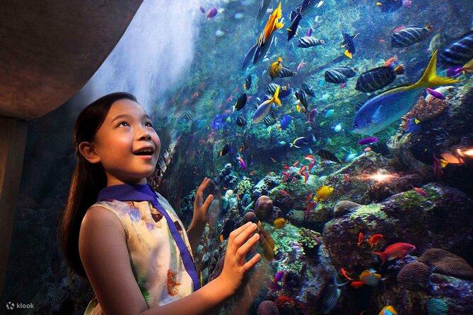 Tickets to Atlantis Lost Chambers Aquarium - The tunnel views and marine life