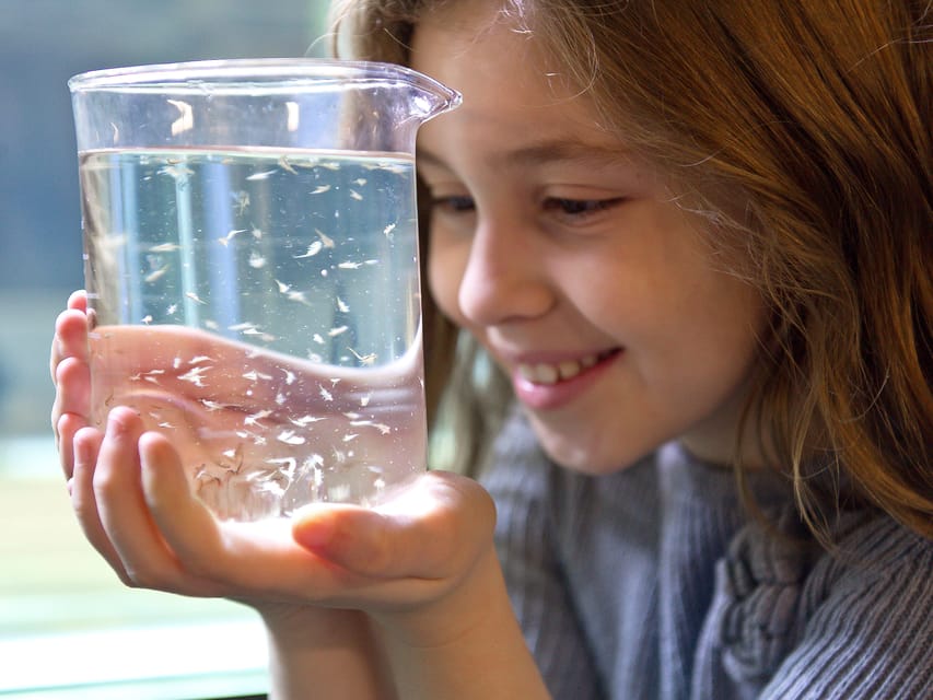 Timmendorfer Strand: SEA LIFE Behind the Scenes Tour - Should you book the SEA LIFE backstage tour?