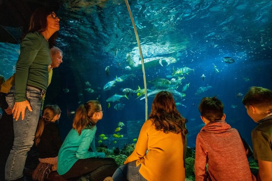Timmendorfer Strand: SEA LIFE Behind the Scenes Tour - A guide-led experience with plenty of questions