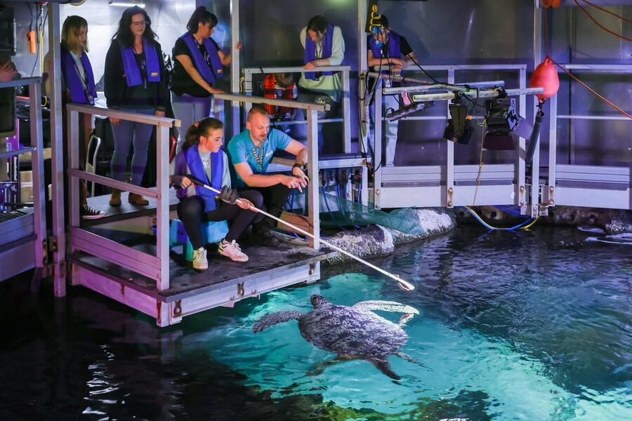 Timmendorfer Strand: SEA LIFE Behind the Scenes Tour - The 90-minute look behind the tanks