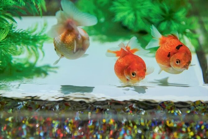 Tokyo Art Aquarium Museum E-Ticket with optional Tokyo Metro Pass - Location inside Ginza Mitsukoshi