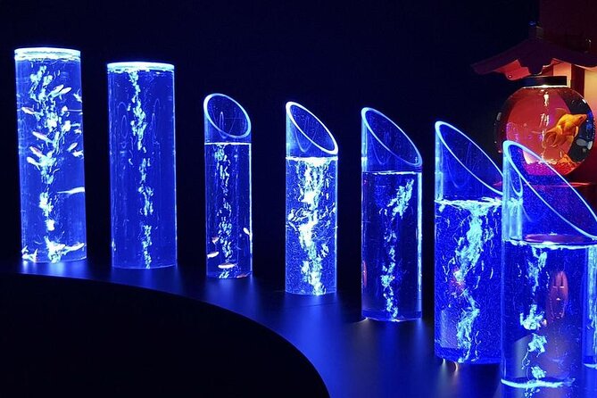 Tokyo Art Aquarium Museum E-Ticket with optional Tokyo Metro Pass - Is the $29 ticket good value?