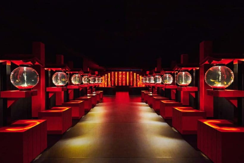 Tokyo: Art Aquarium Museum GINZA Entry Ticket - Timing, Crowds, and Practical Advice