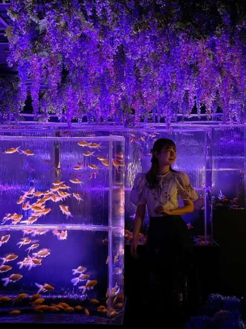 Tokyo: Art Aquarium Museum GINZA Entry Ticket - The First Rooms: A Change of Pace
