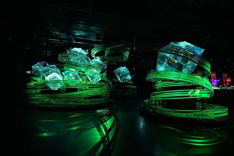 Tokyo: Art Aquarium Museum GINZA Entry Ticket - Aquarium Displays Designed for Pictures